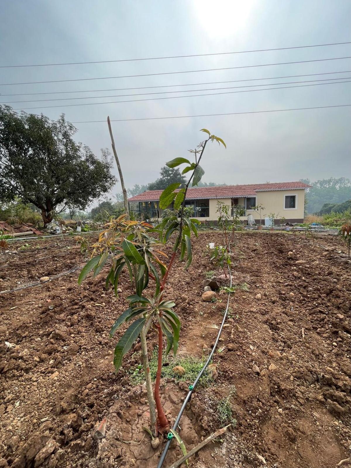 Aj Farms Villa Welhe Exterior photo